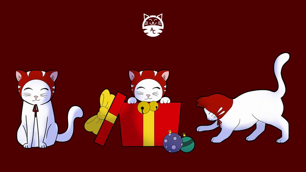 è arrivato il nuovo gattone 2.jpg è arrivato il nuovo gattone 2.jpg